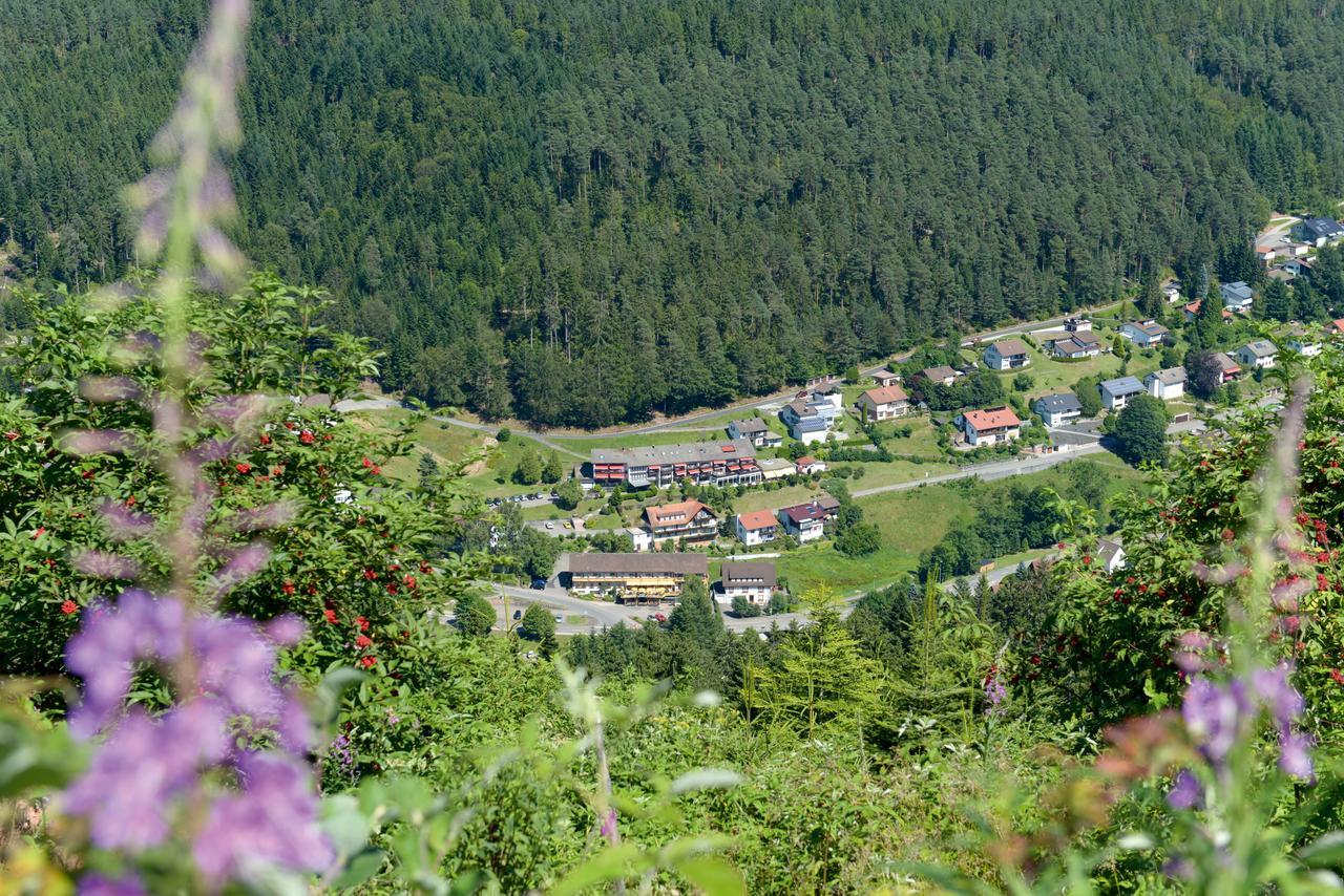 Hotel Waldlust Baiersbronn Exterior photo
